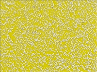 N°1 ROTOLINO 30x100 di SPARKLE SK0003 BUTTERCUP YELLOW.Rotolino termo trasferibile in vinile SISER